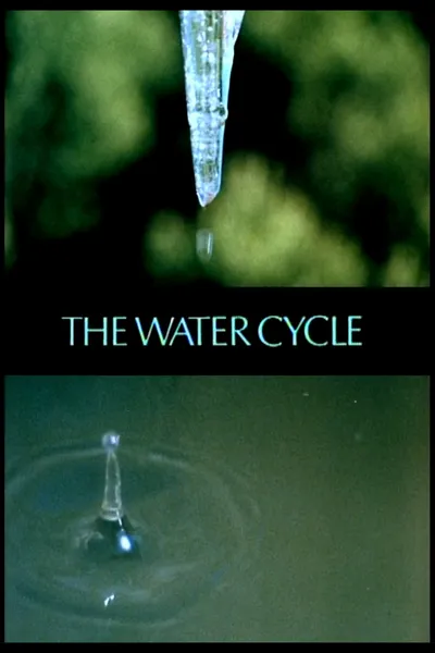 The Water Cycle