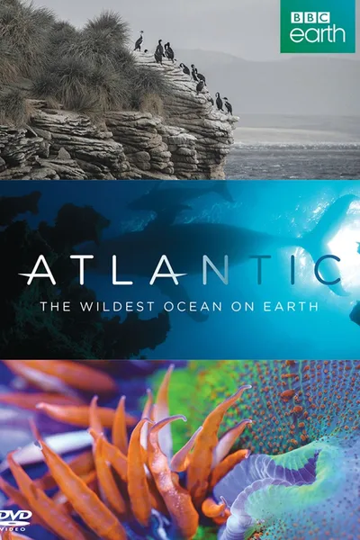 Atlantic: The Wildest Ocean on Earth