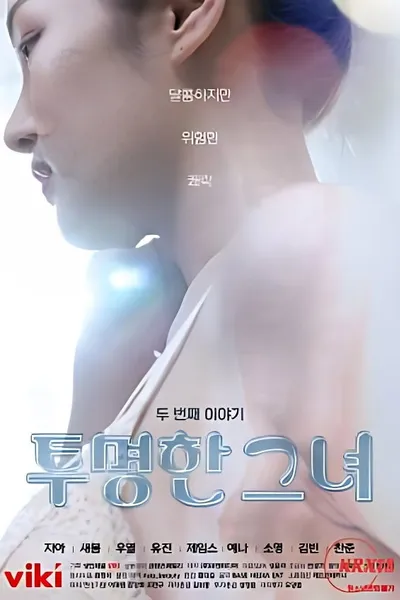 The Transparent Girls Second Story