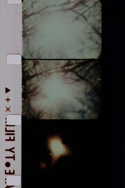 Signaux lumineux pour un ballet nuptial