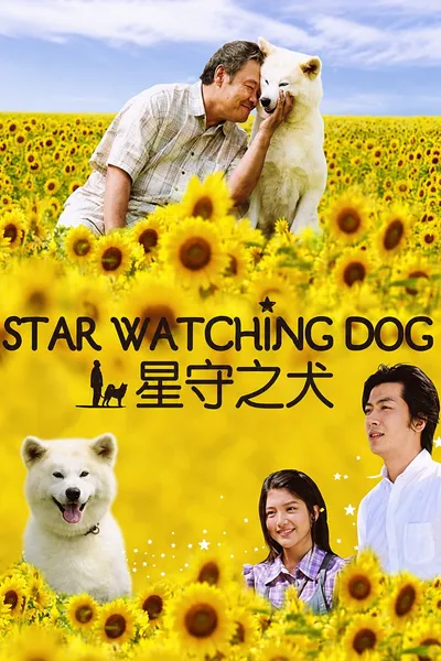 Star Watching Dog