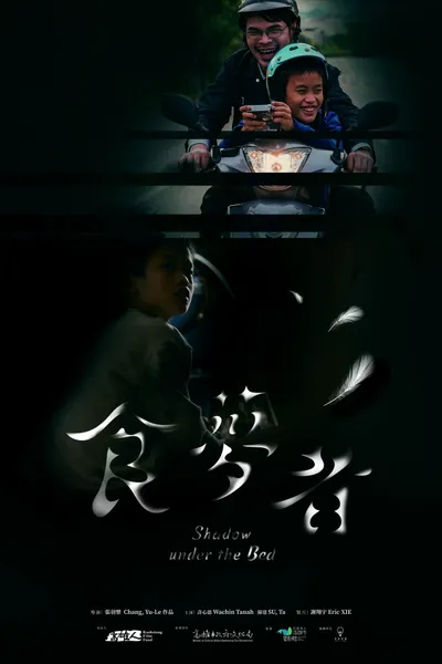 Shadow Under the Bed