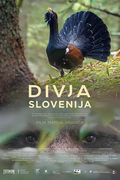 Wild Slovenia