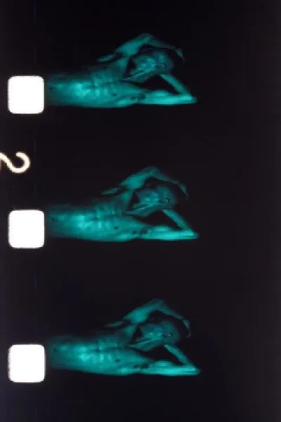 Chutes de Corps aboli