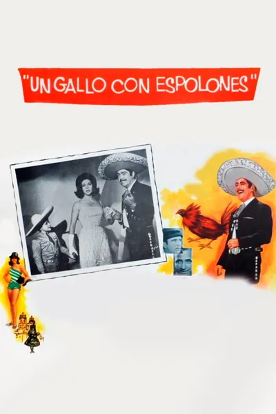 Un Gallo con Espolones