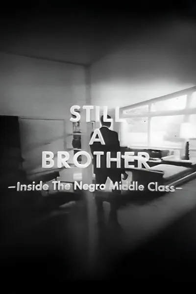 Still A Brother: Inside the Negro Middle Class
