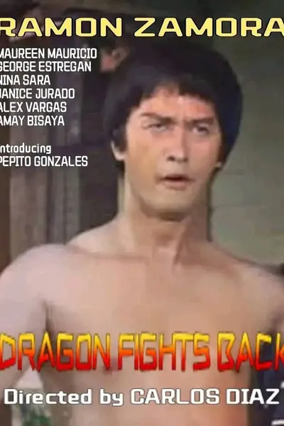 Dragon Fights Back