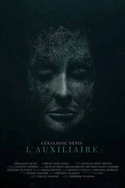 L'auxiliaire
