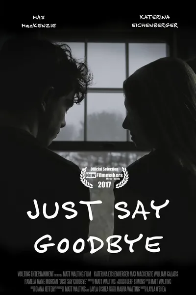 Just Say Goodbye