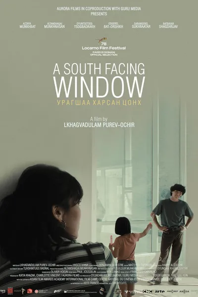 A South Facing Window