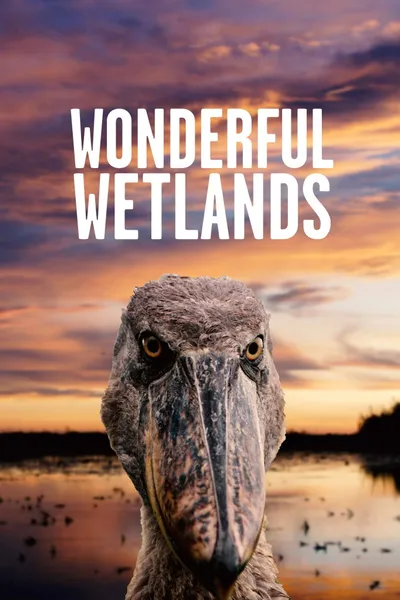 Wonderful Wetlands