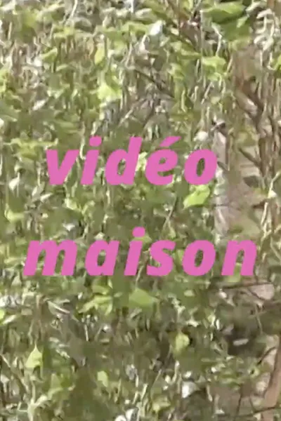 Vidéo maison