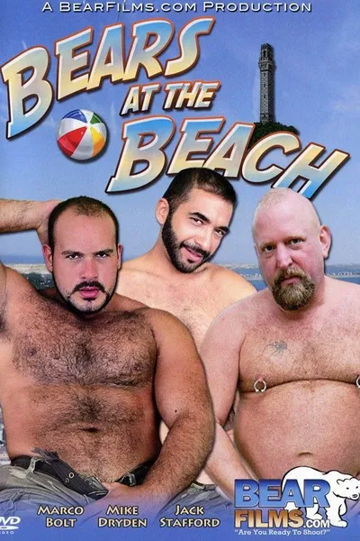 Bears at the Beach