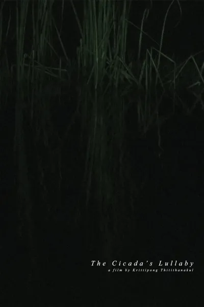 The Cicada's Lullaby