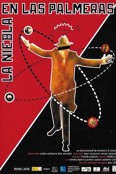 The Mist in the Palm Trees