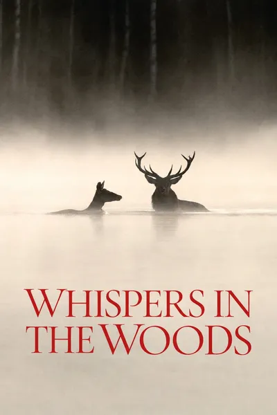 Whispers in the Woods