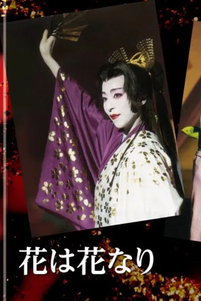 People Who Love Flowers