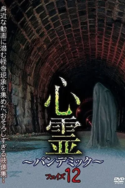 Spirit Pandemic Phase 12