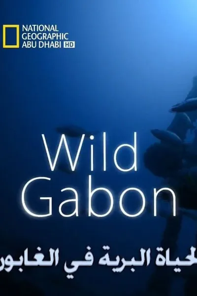 Wild Gabon