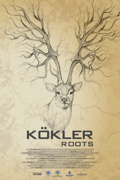 Kökler