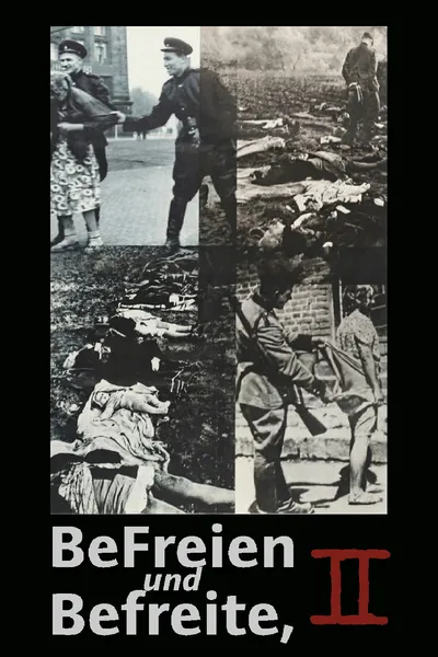Liberators Take Liberties, part 2