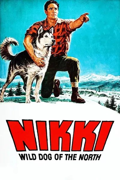 Nikki, Wild Dog of the North