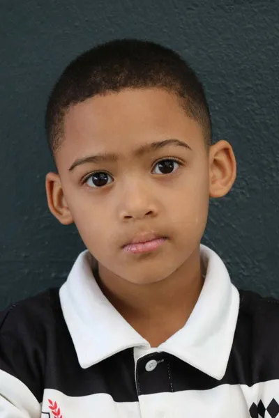 Troy Paulse