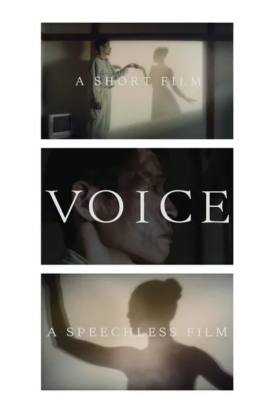 Voice