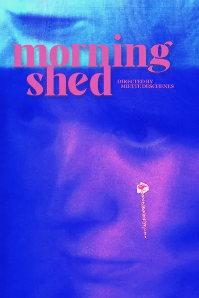 morningshed