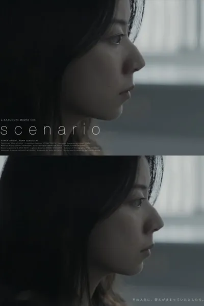 Scenario