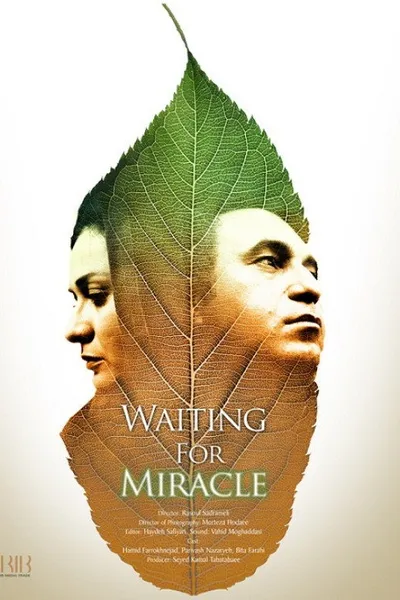 Waiting For Miracle