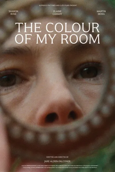 The Colour of My Room