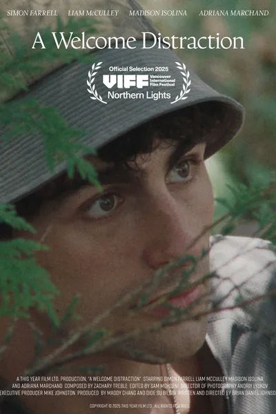 A Welcome Distraction