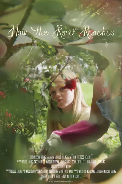 How the Rose Reaches