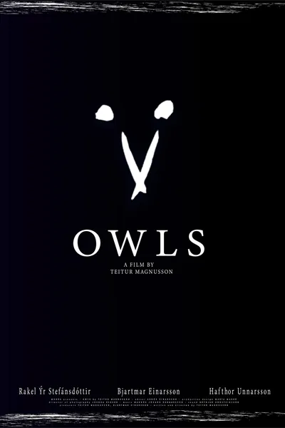 Owls