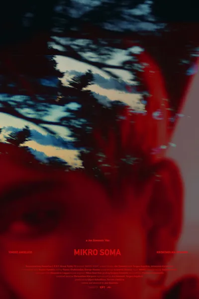 Mikro Soma