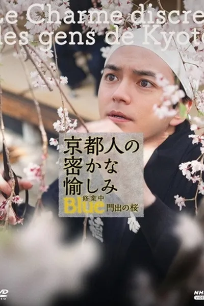 京都人の密かな愉しみBlue修業中 門出の桜