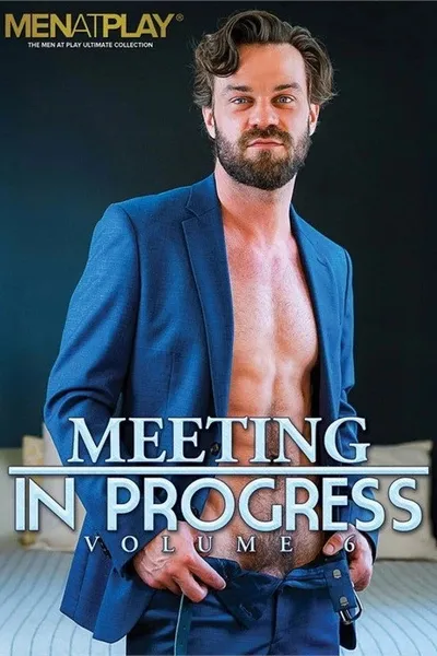 Meeting in Progress 6