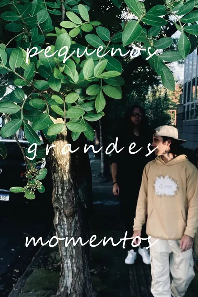 pequenos grandes momentos