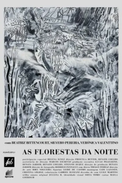 As Florestas da Noite