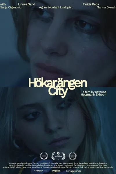 Hökarängen City