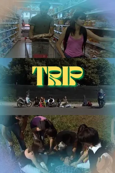 Trip