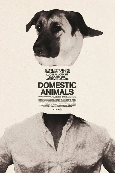 Domestic Animals
