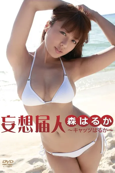妄想届人～キャッツはるか～