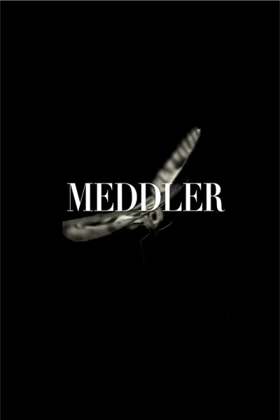 Meddler
