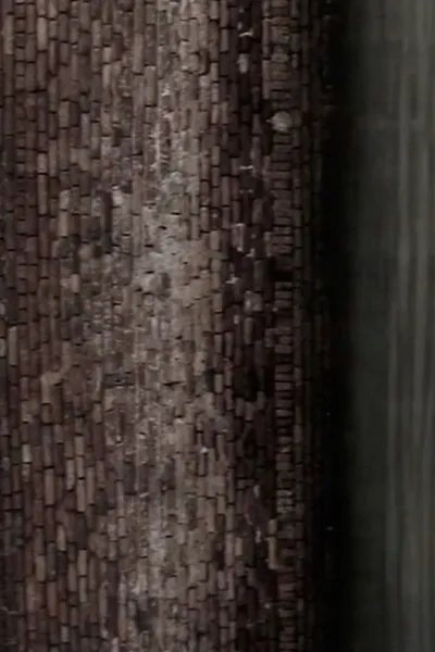 The Little White Doves