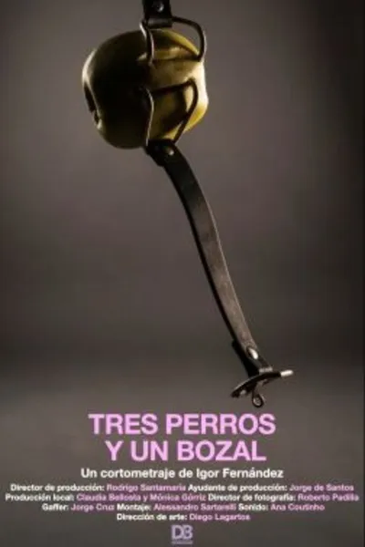 Tres Perros y Un Bozal
