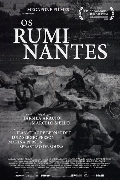 Os Ruminantes