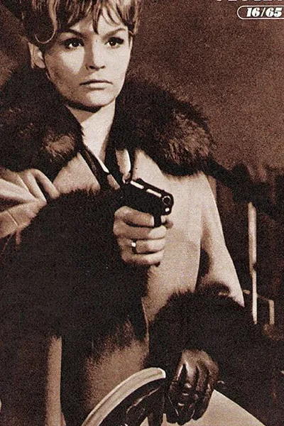 Chronicle of a Murder