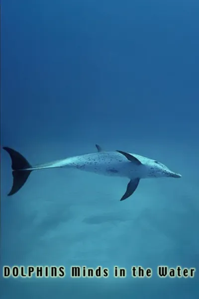 Dolphins: Minds in the Water